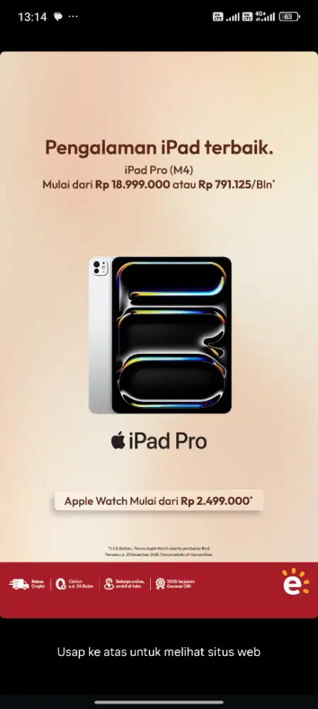 Ipad pro m4 256gb resmi