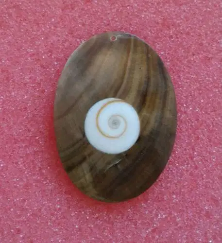 Anting - Anting dari Kerang