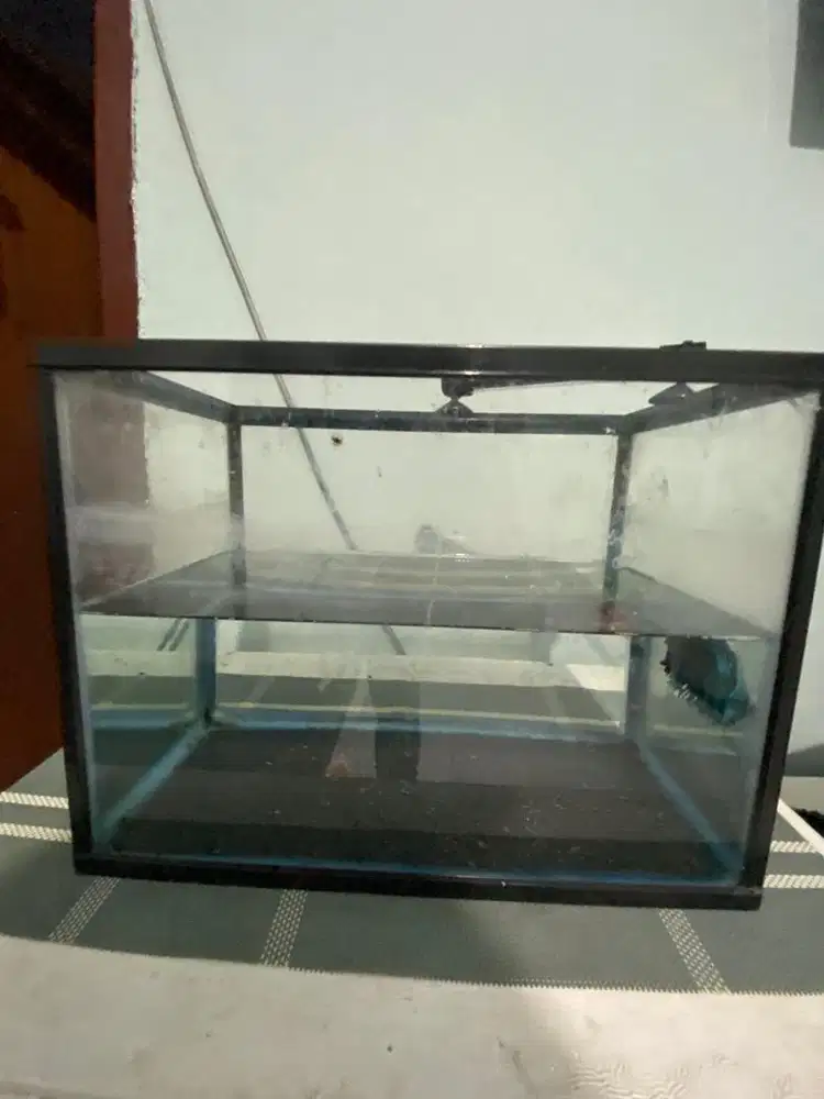 Aquarium size s atw m minat wa