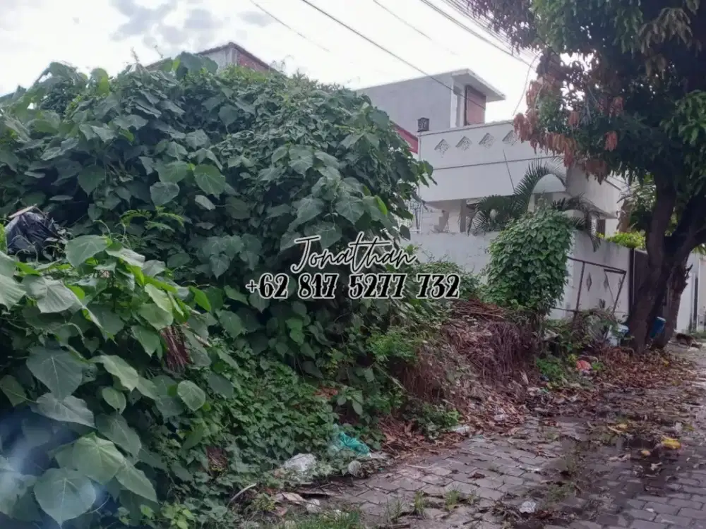 Tanah Kawasan Villa di Jalan Intan Permai Kerobokan Dekat Seminyak dan Petitenget - LSKT