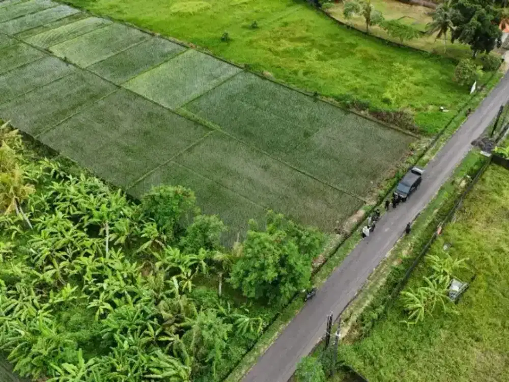 JUAL TANAH PREMIUM PINGGIR JALAN UTAMA DEKAT PANTAI KLATING TABANAN