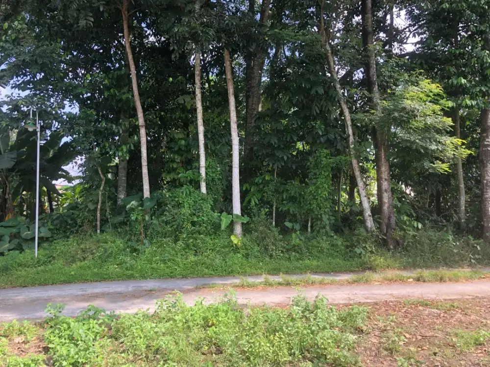 Tanah Kavling Siap Bangun Dekat UII, Lokasi Strategis untuk Kost Eksklusif