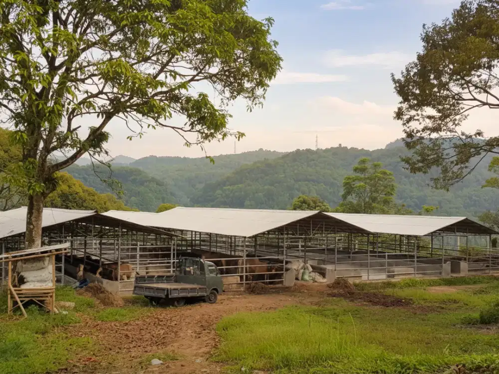 Jual Tanah Peternakan Sapi di Bogor Luas 7,5 Ha