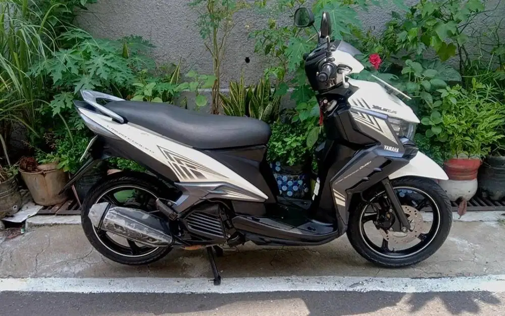YAMAHA XEON 2014