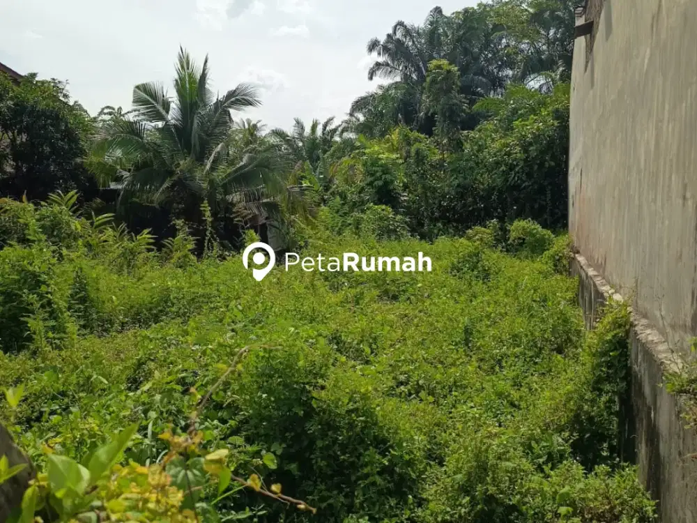 DIJUAL TANAH JALAN BUNGA SEDAP MALAM IX GANG TORONG (TOMAS ABDI)