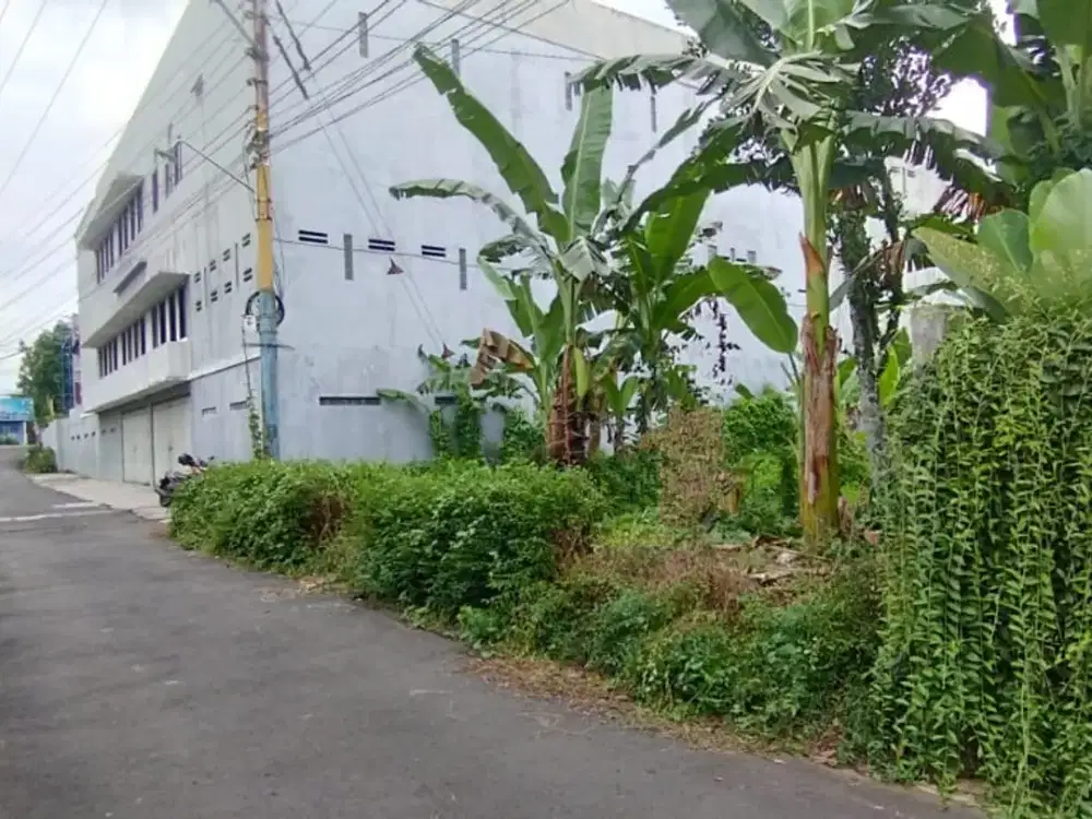 Dijual Tanah Pekarangan 30 Ubin, Dekat Kedokteran Unsoed