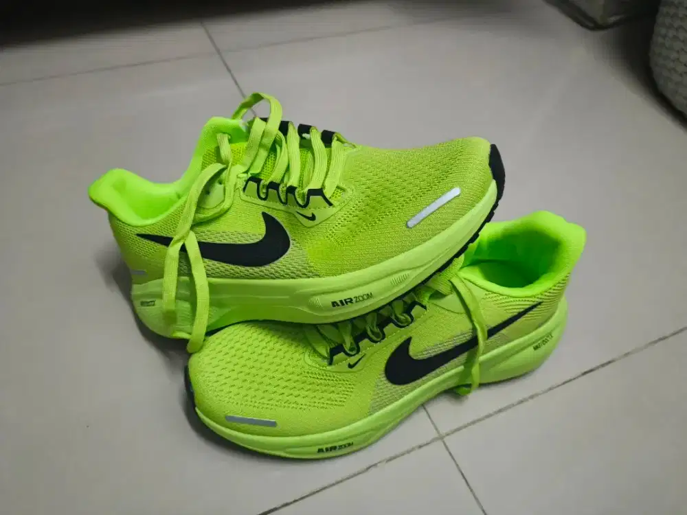 nike pegasus air zoom 43