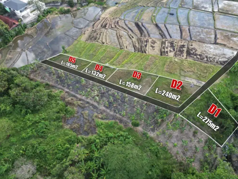 Tanah Kavling Canggu – View Sawah, Lokasi Strategis, Direct Owner