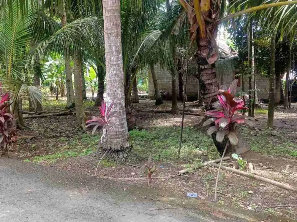 JUAL TANAH DI KALIDENGEN TEMON KULONPROGO