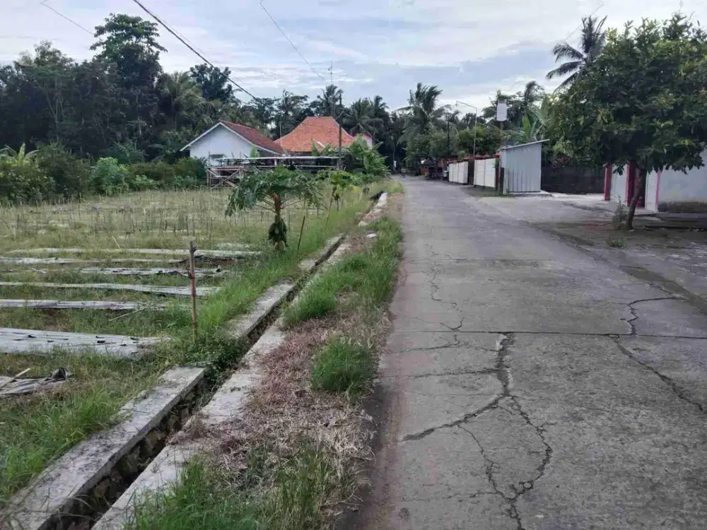 sawah Temon. kulon Progo