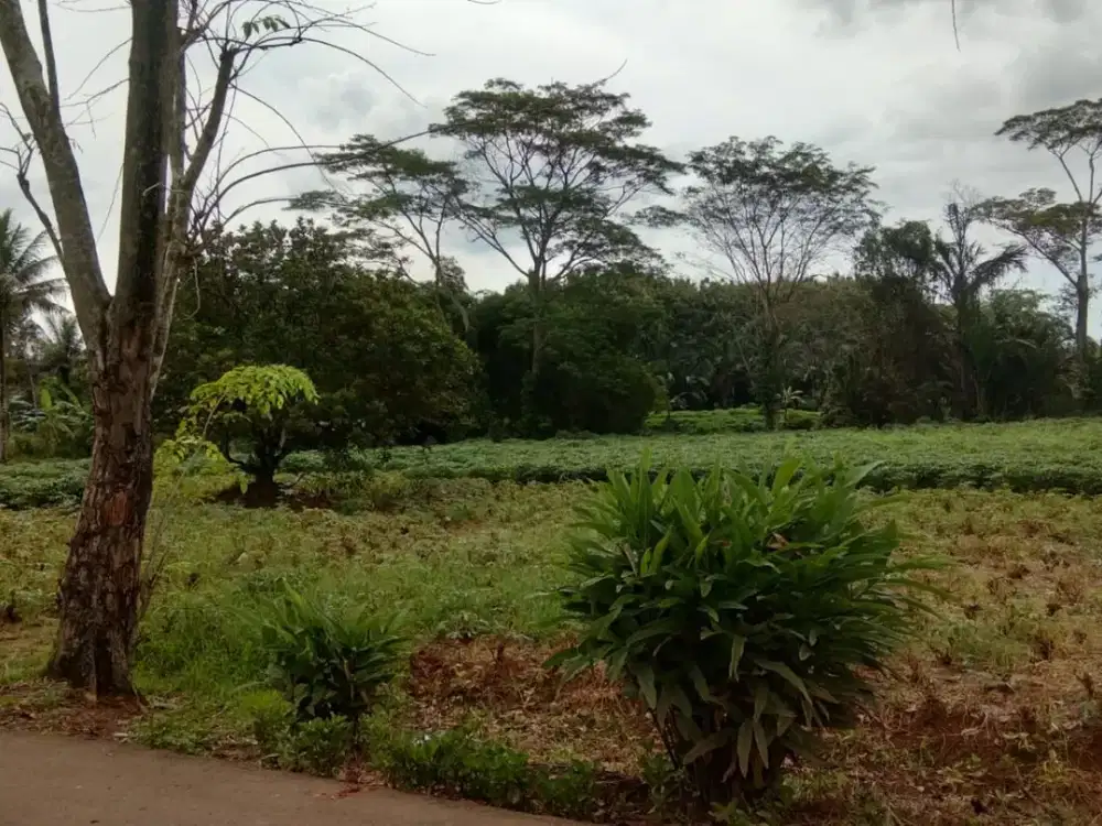 Kavling Tanah 1jt-an Posisi strategis Pinggir Jalan Bonus Desain Rumah