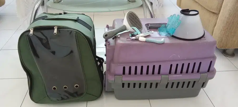 tas untuk membawa kucing