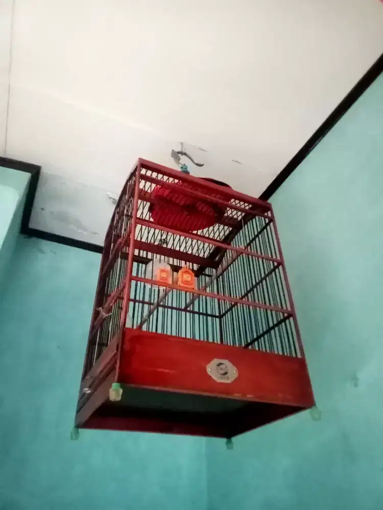 Jual sangkar kotak no 3