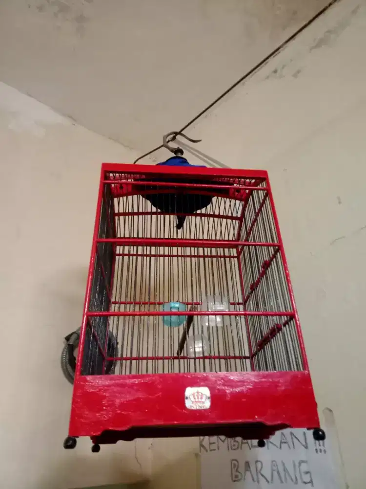 Jual sangkar kotak no 2