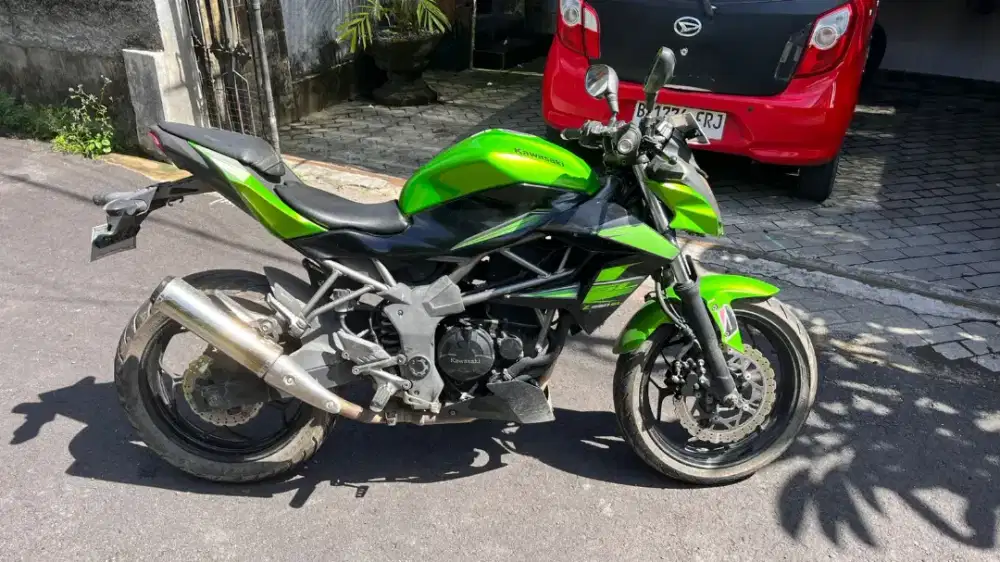 Kawasaki Z250SL