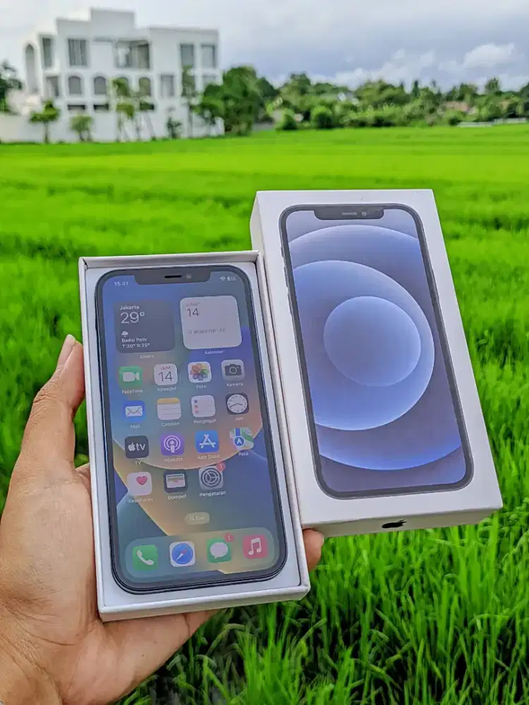 iPhone 12 64 GB All Operator