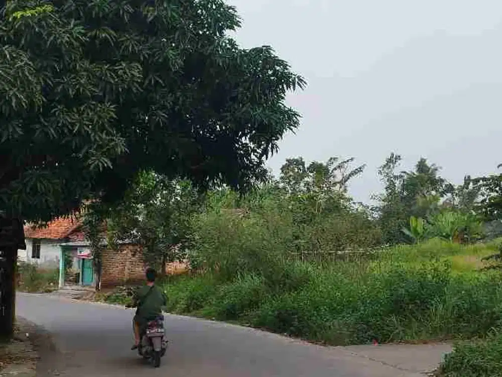 tanah dijual di Parung panjang jl Raya Cibunar