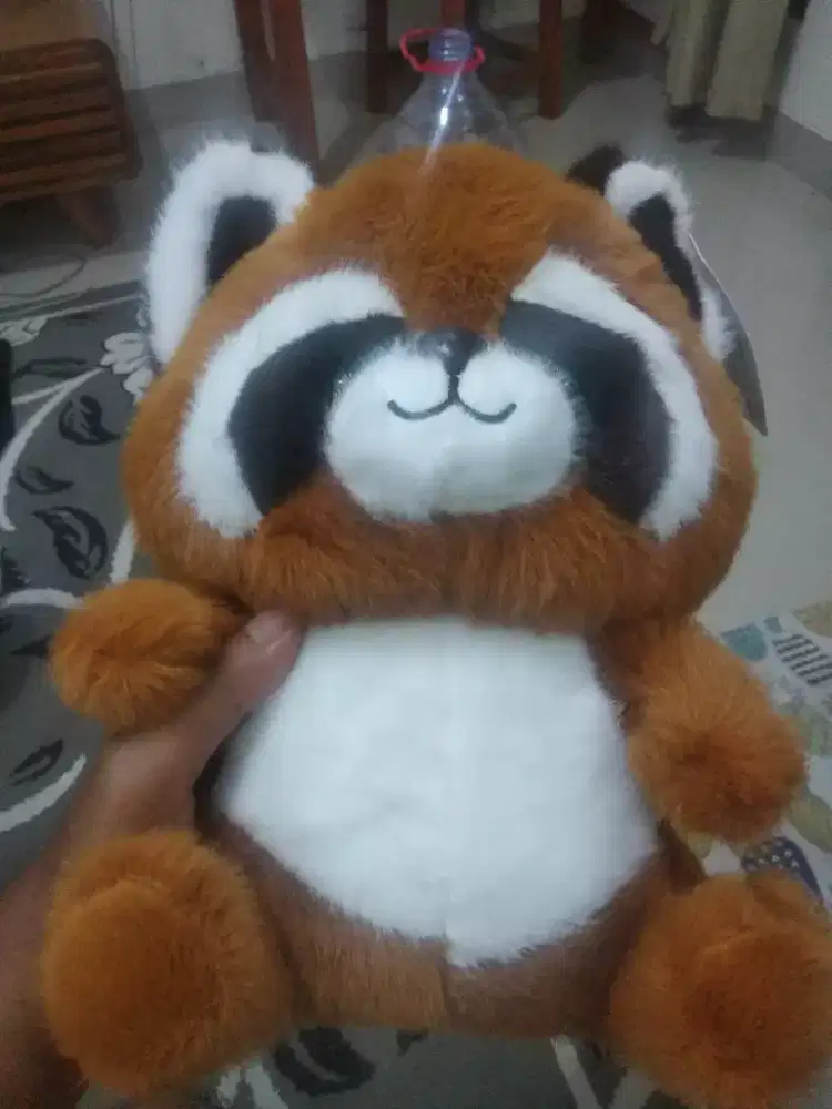 Boneka raccoon baru