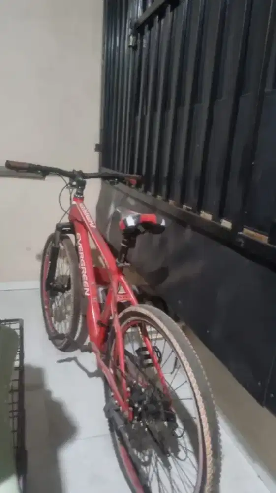 Sepeda gunung Evergreen EG 525