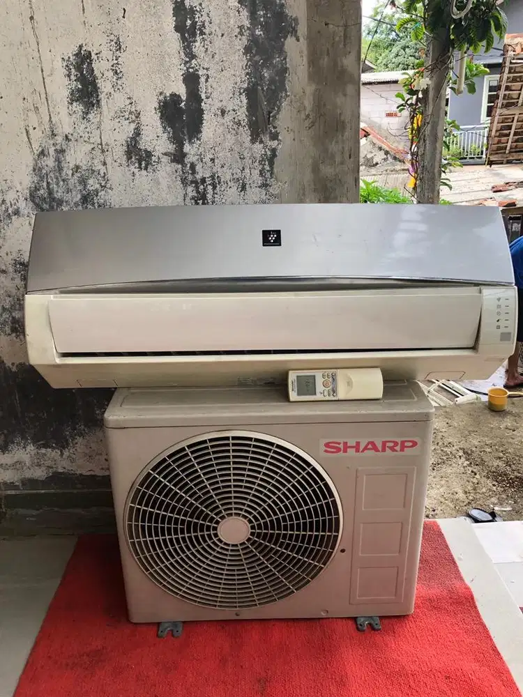 Ac sharp 1/2 pk