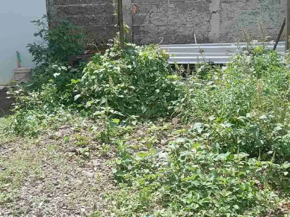 Jual Tanah Murah di dalam Cluster Serua Ciputat