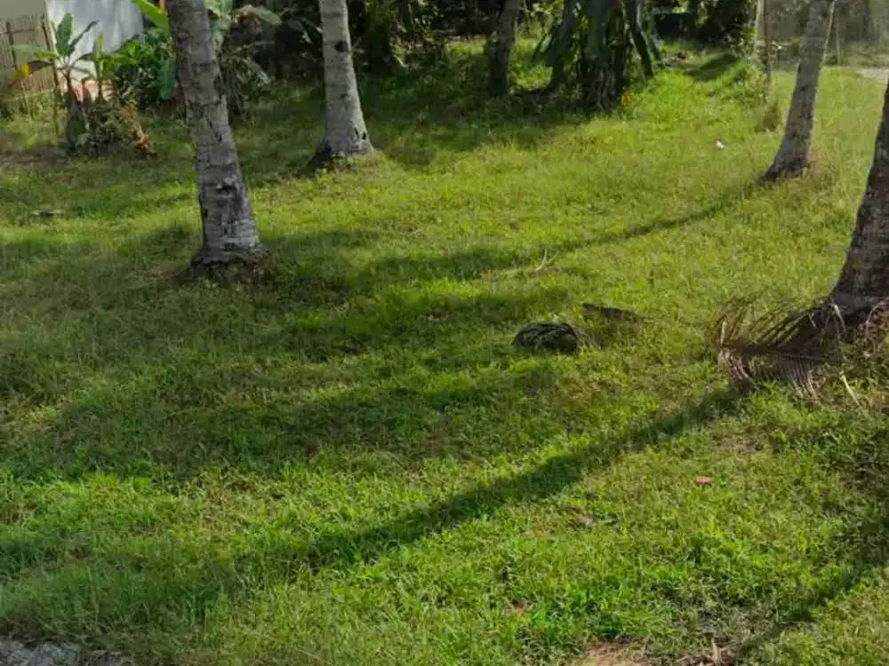 TANAH SHM MURAH DEKAT LAPANGAN GARUDA NUSAJATI SAMPANG