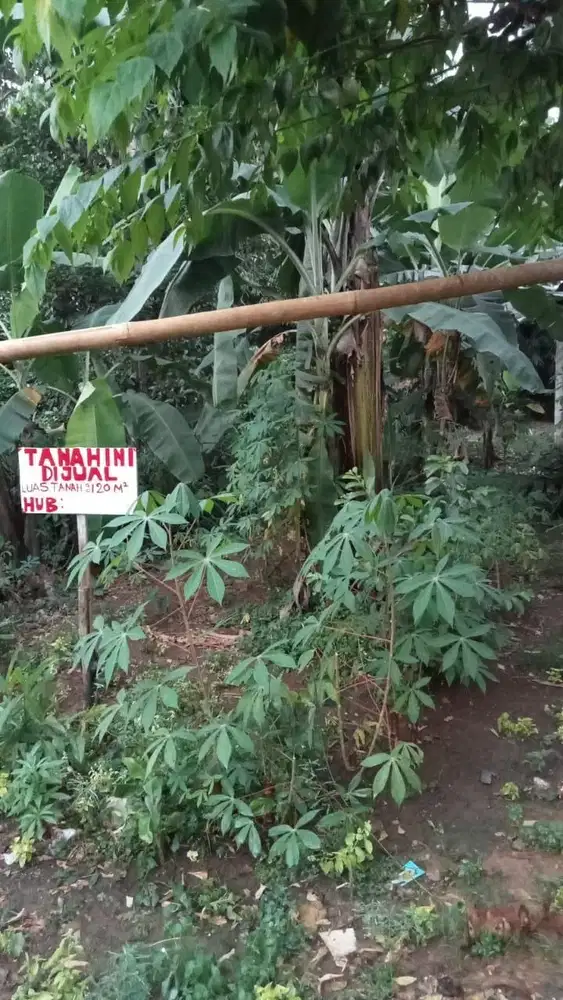 Jual Tanah Kavling Murah di Cisauk