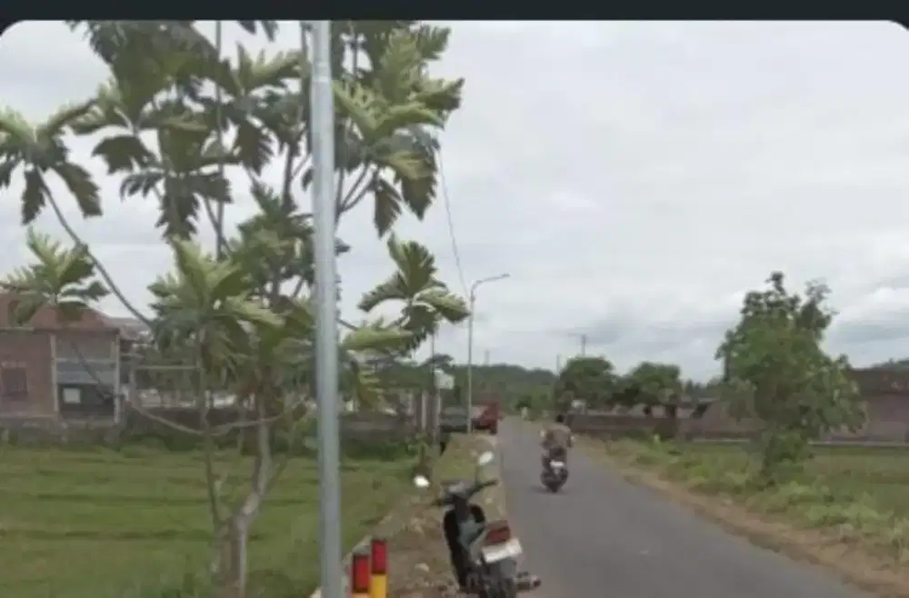 Djual Tanah Sawah Murah Meriah Di Kaliurang Sidorejo Godean Sleman