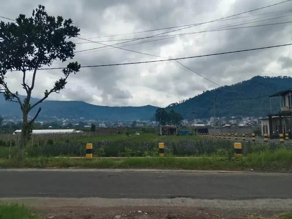 Villa Premium Batu dengan Nilai Sewa Tinggi