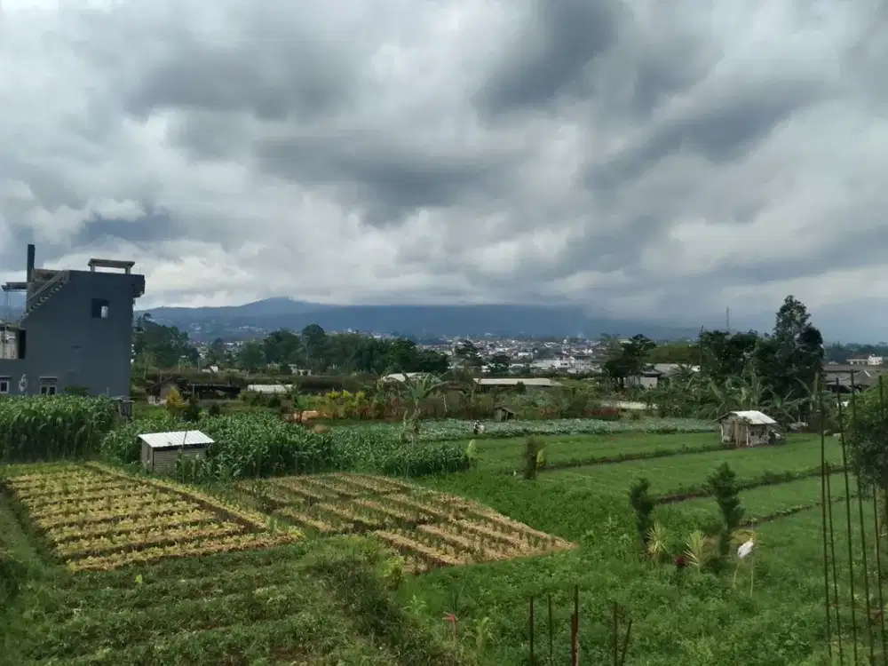 Villa Dekat Wisata Kota Batu Dengan Fasilitas Lengkap