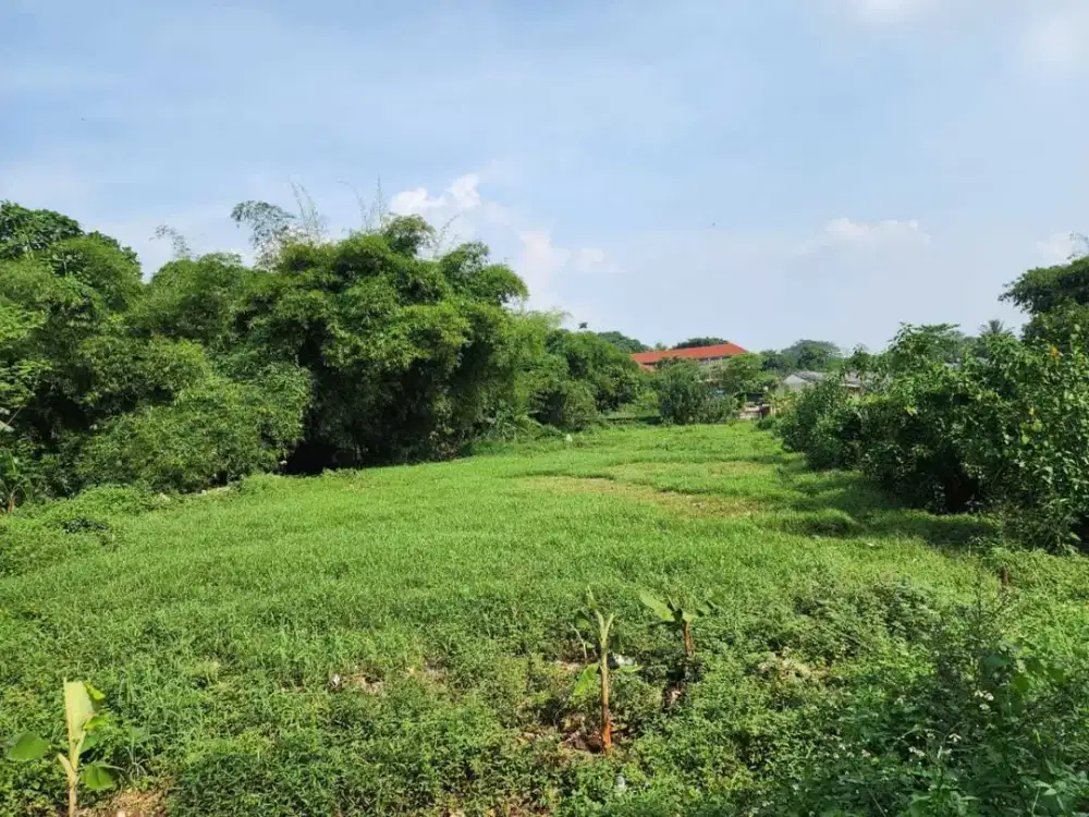 Tanah Kosong Cocok Buat Perumahan / Sekolah / Pesantren / Gedung Nikah