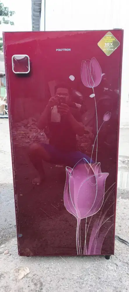 Kulkas pintu 1 polytron