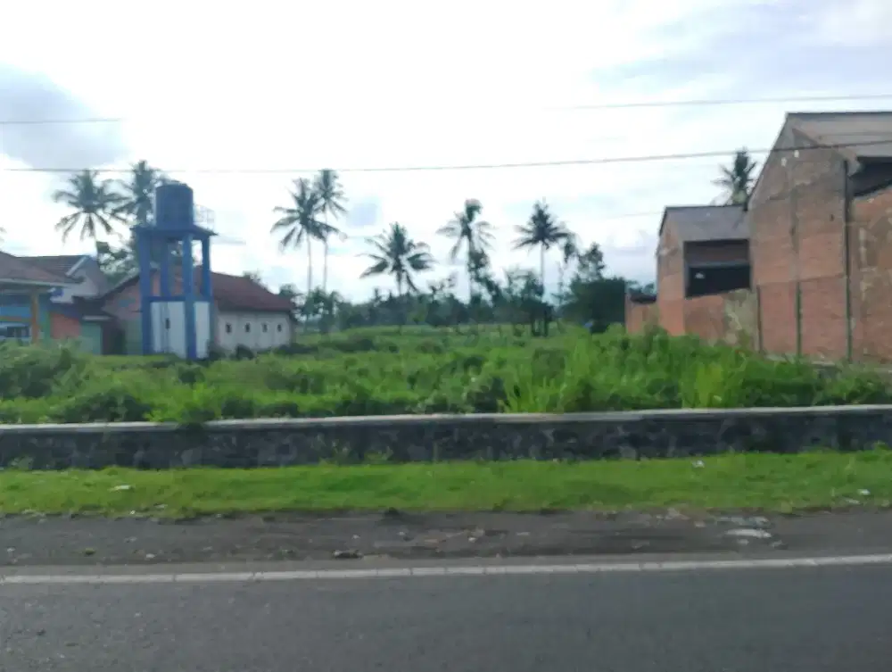 JUAL TANAH KOSONG PINGGIR JALAN KEPANJEN, HARGA SAMA DENGAN PBB NJOP