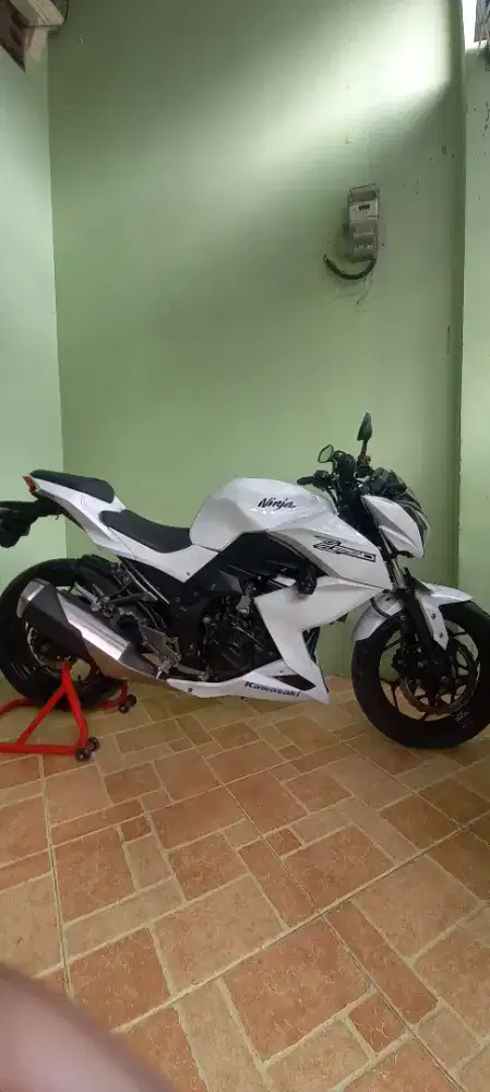 Kawasaki Ninja Z 250