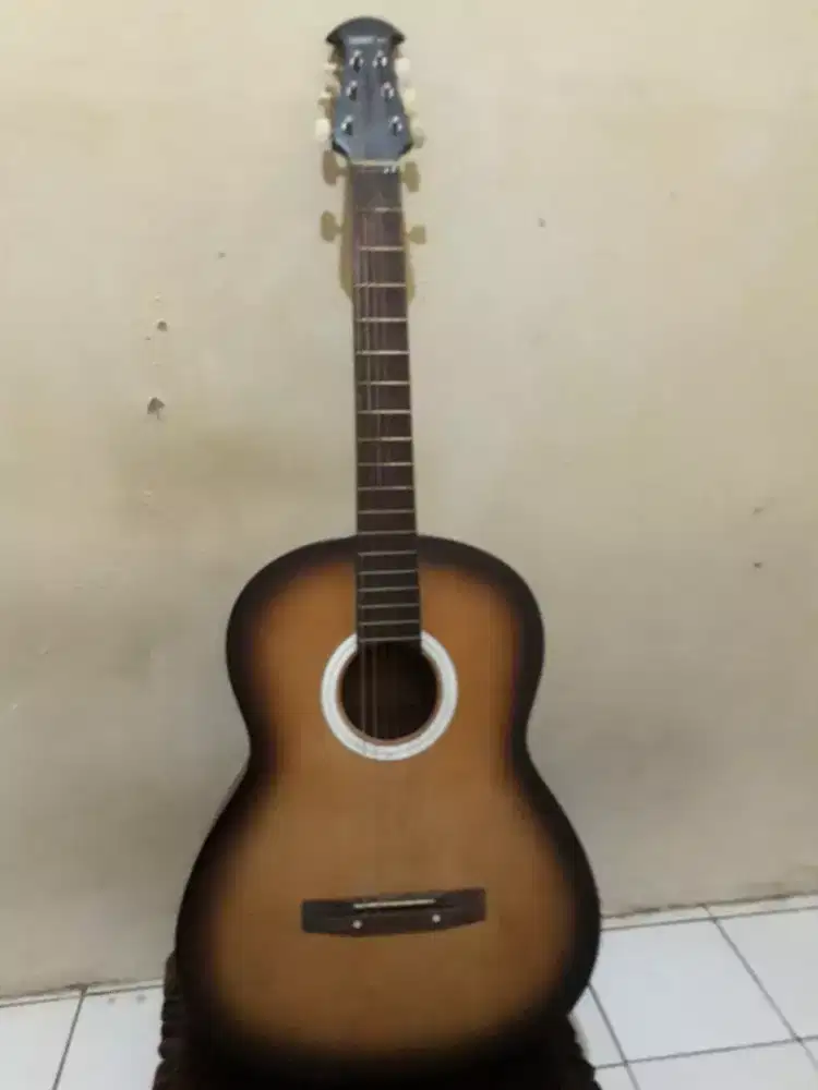 Gitar hart pro handscraft