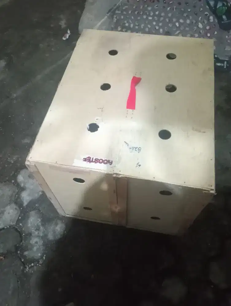 Box ayam gandeng isi 2