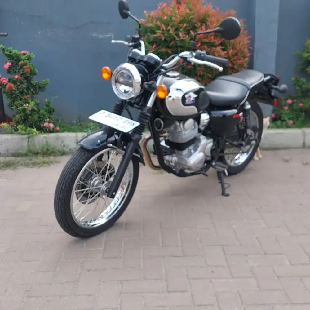 Kawasaki mugero 230 2025