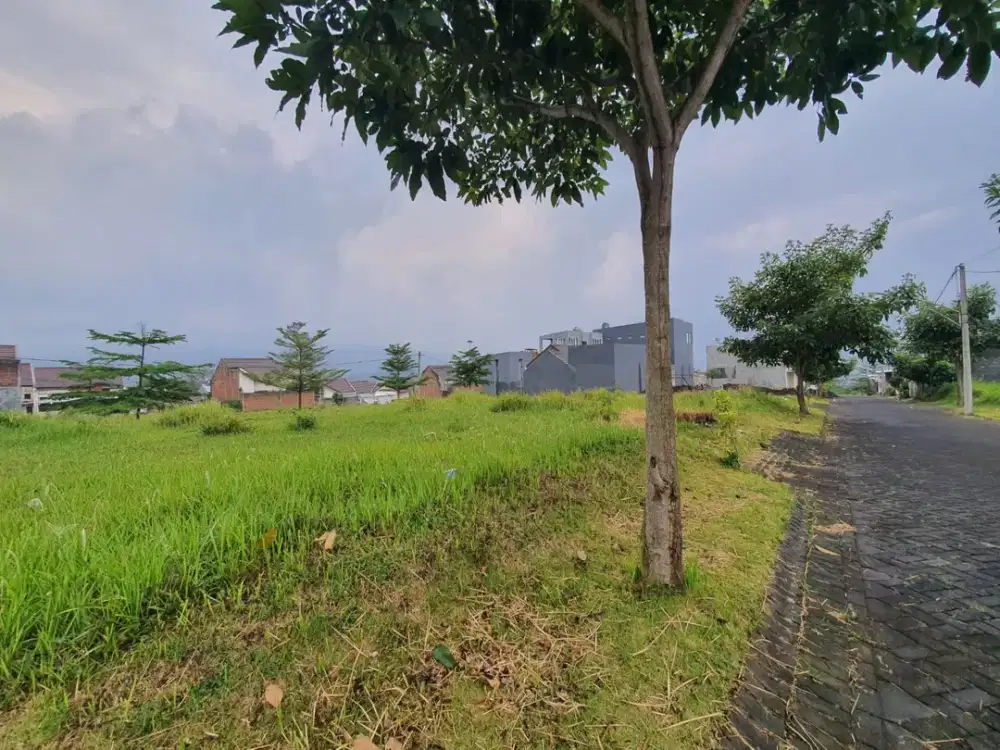 Investasi Tanah Dekat Kampus UIN 3 – Harga Masih Sangat Terjangkau!