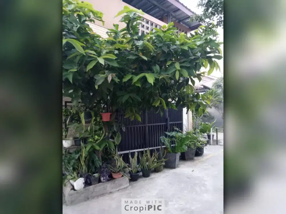 Dijual Rumah Siap Huni dan Strategis di Pesona Anggrek Harapan Bekasi Utara