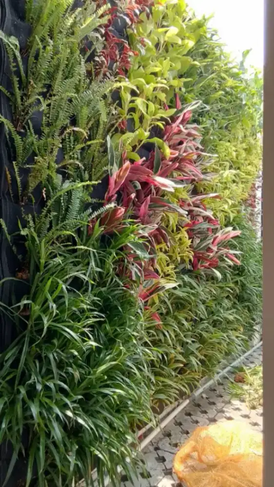 Pasang taman vertikal garden taman dinding hiasan dinding taman