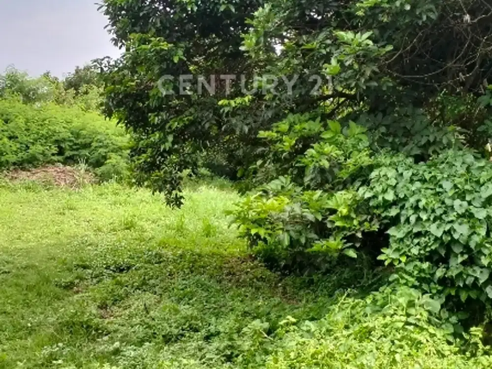 Kavling Bagus Kp. Pedurenan CIMANGGIS DEPOK