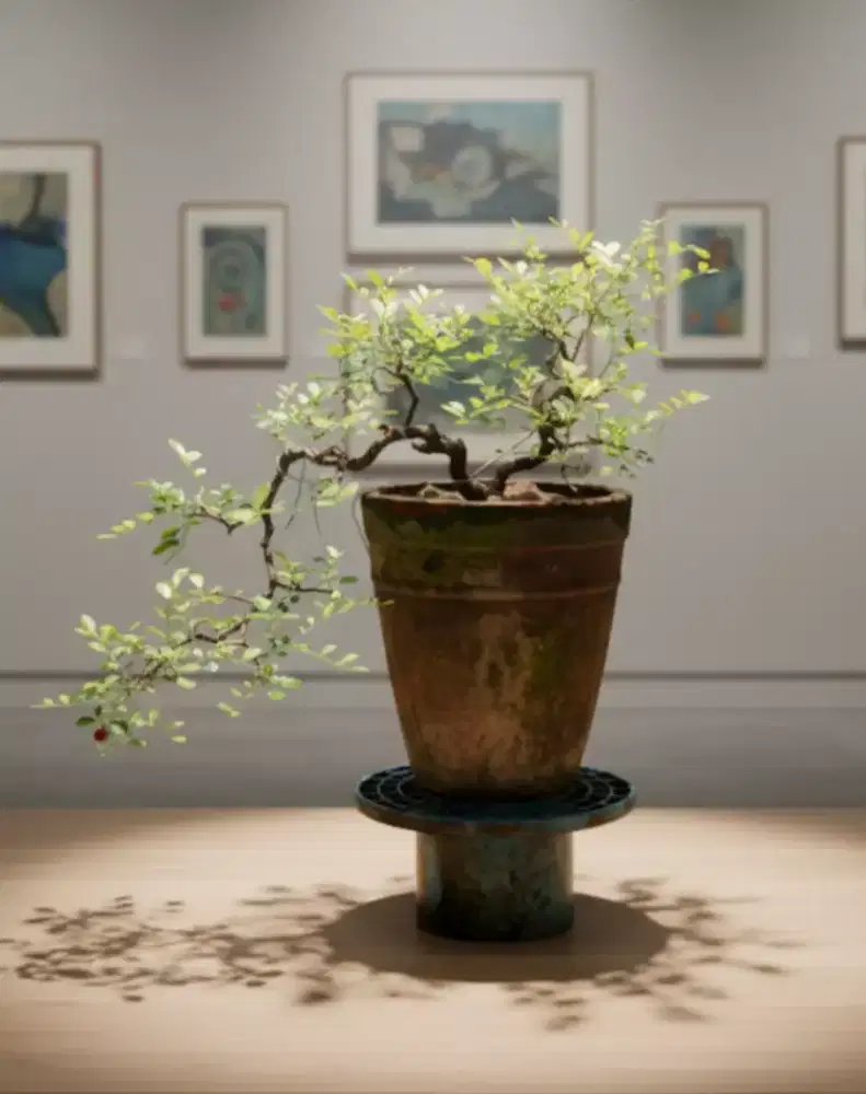 Bonsai kemuning cascade style