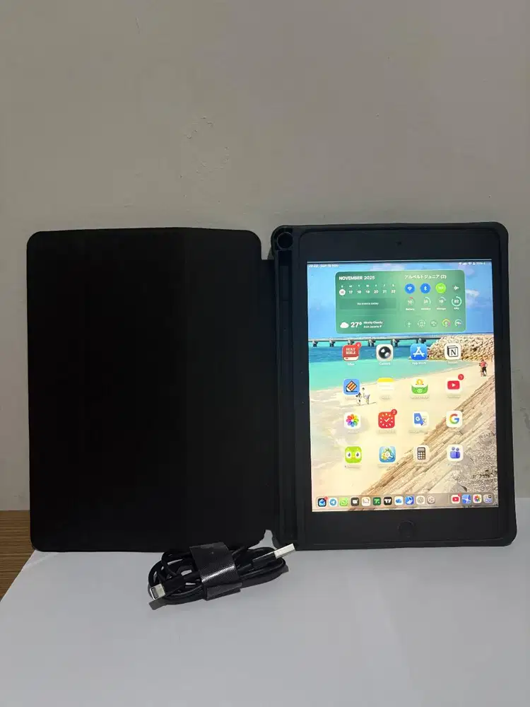 iPad Mini 5 Space Gray 256GB Cellular WiFi Pemakaian Pribadi