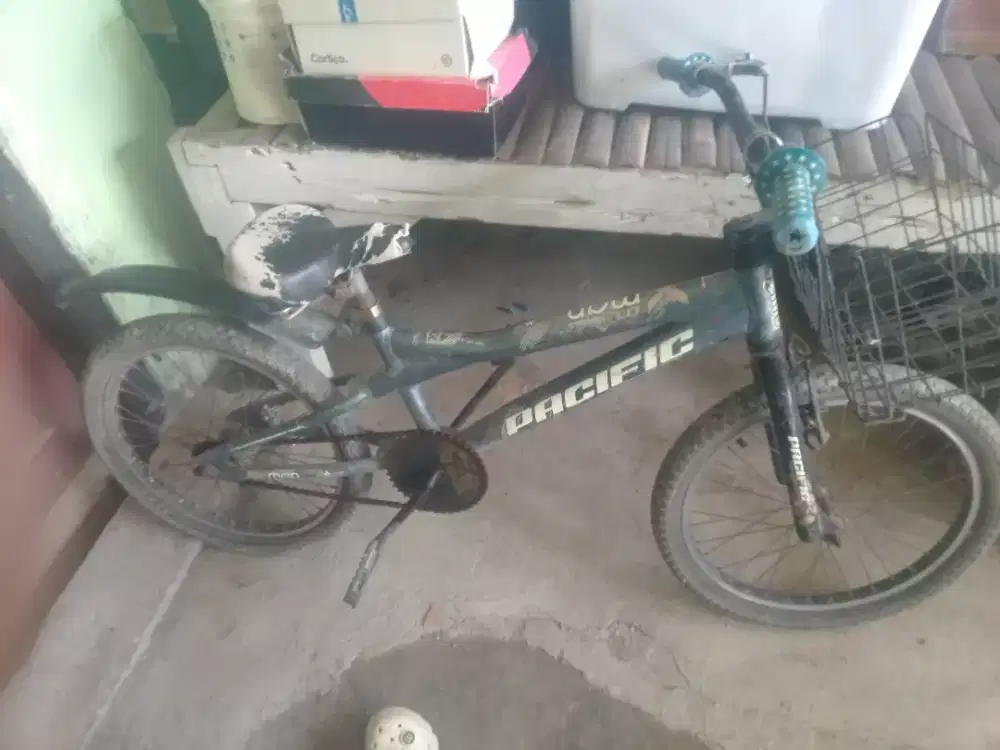 Sepeda anak Pacific