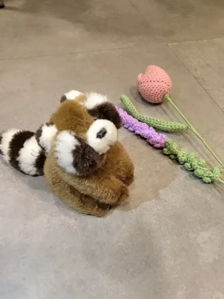 boneka racoon - HSC 2025