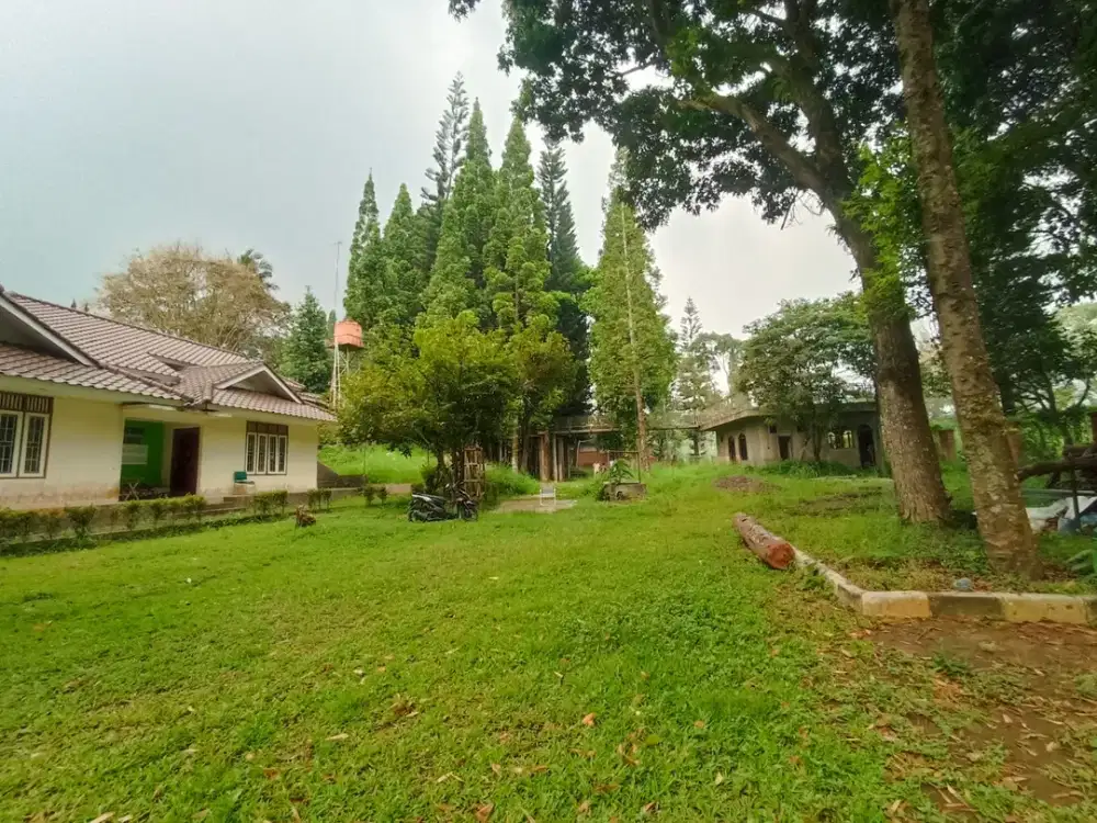 DIJUAL CEPAT TANAH BAGUS PROYEK GLAMPING & CAFE  DI MEGAMENDUNG