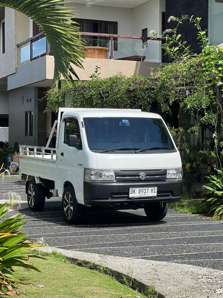 New Carry Pick Up 2020