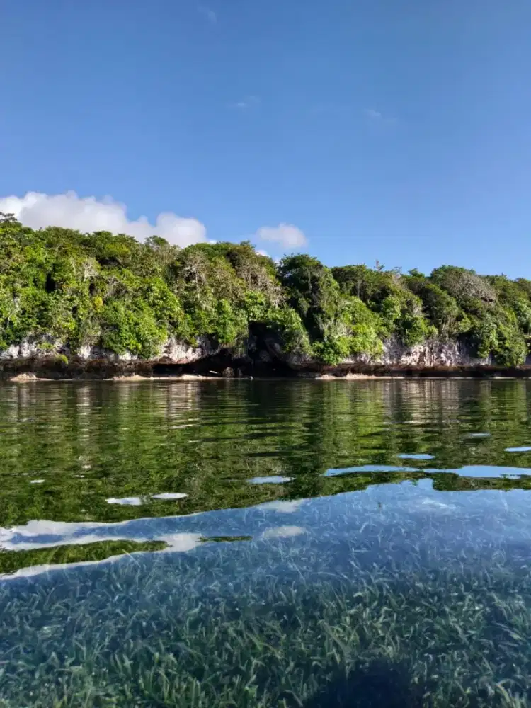 Tanah dijual cocok untuk bangun resort