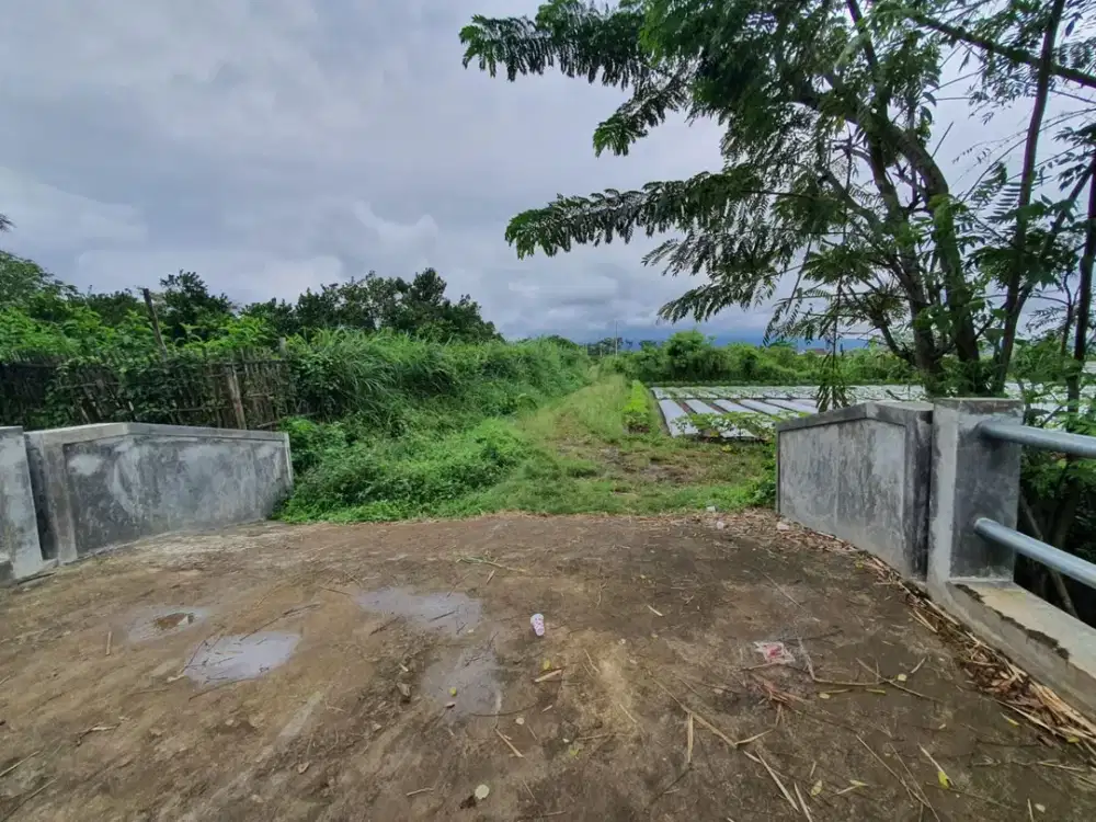 Jual Tanah Landungsari Murah – Cocok untuk Kos &amp; Hunian