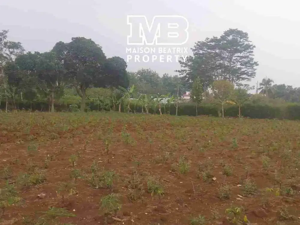 DIJUAL TANAH DIPINGIR JALAN UNTUK MINI CLUSTER ATAU TOWNHOUSE, CISEENG BOGOR